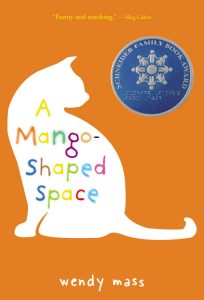 A Mango Shaped Space - Mass
